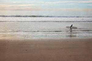 Surfer Dude #92388
