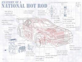 Anatomy National Hotrod #YS114471