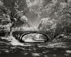 Central Park Bridge #IG 7015