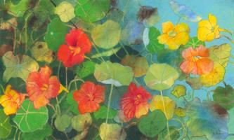 Nasturtium 2 #IG 7440