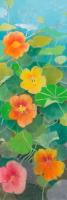 Nasturtium 1 #IG 7441