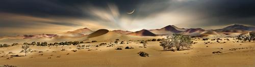 Namib Sandsea II #IG 9126