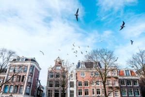 Amsterdam Reflection #IG 9206