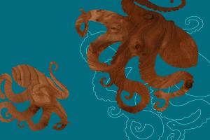 Octopus 1 #82314